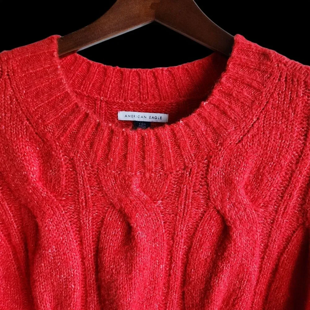 American Eagle Outfitters Womens LG Orange Cable Knit Sweater Pullover